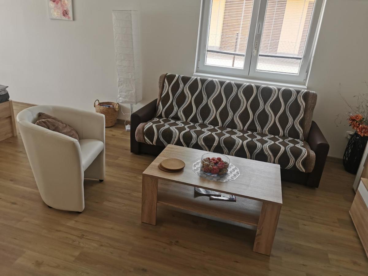 Apartmany Svitkov 79 Pardubice Eksteriør billede